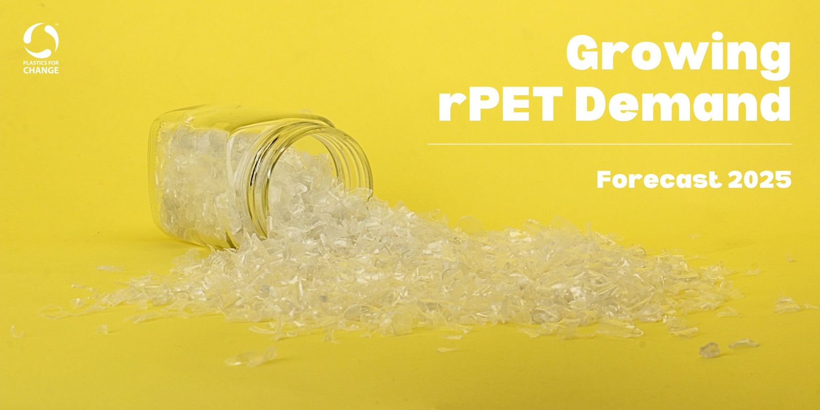Why rPET Supply is Running Low and How Businesses Can Secure It?
