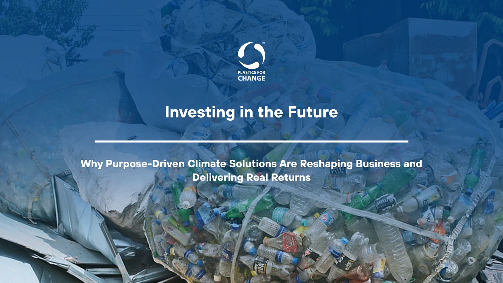 Why Investing in Climate and Purpose-Driven Organisation is the Smartest Business Decision of Our Time