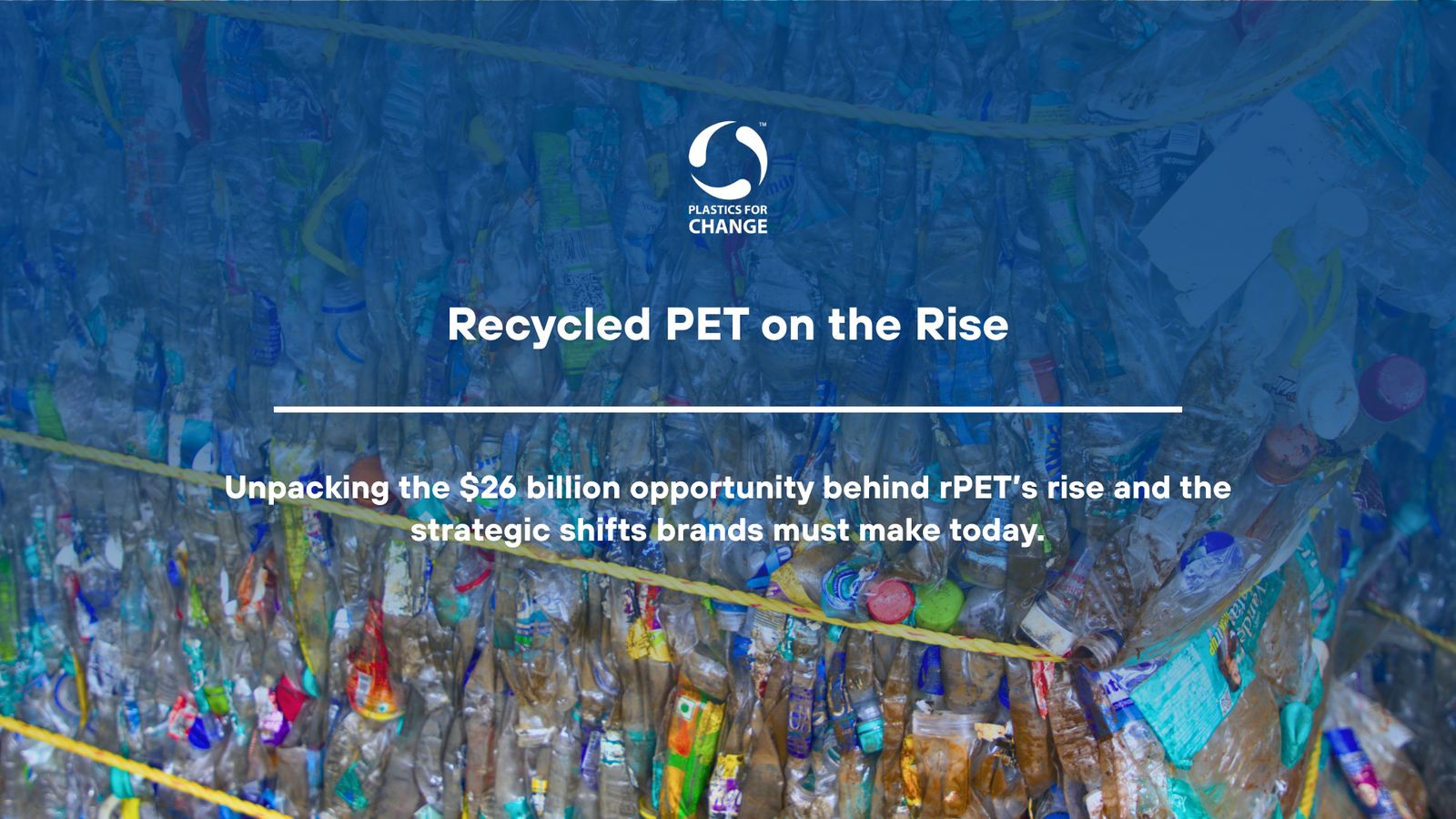 The Rise of Recycled PET (rPET): Market to Double by 2034 and What It Means for Brands