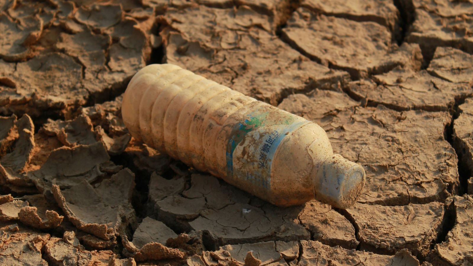How can you help reduce plastic waste?