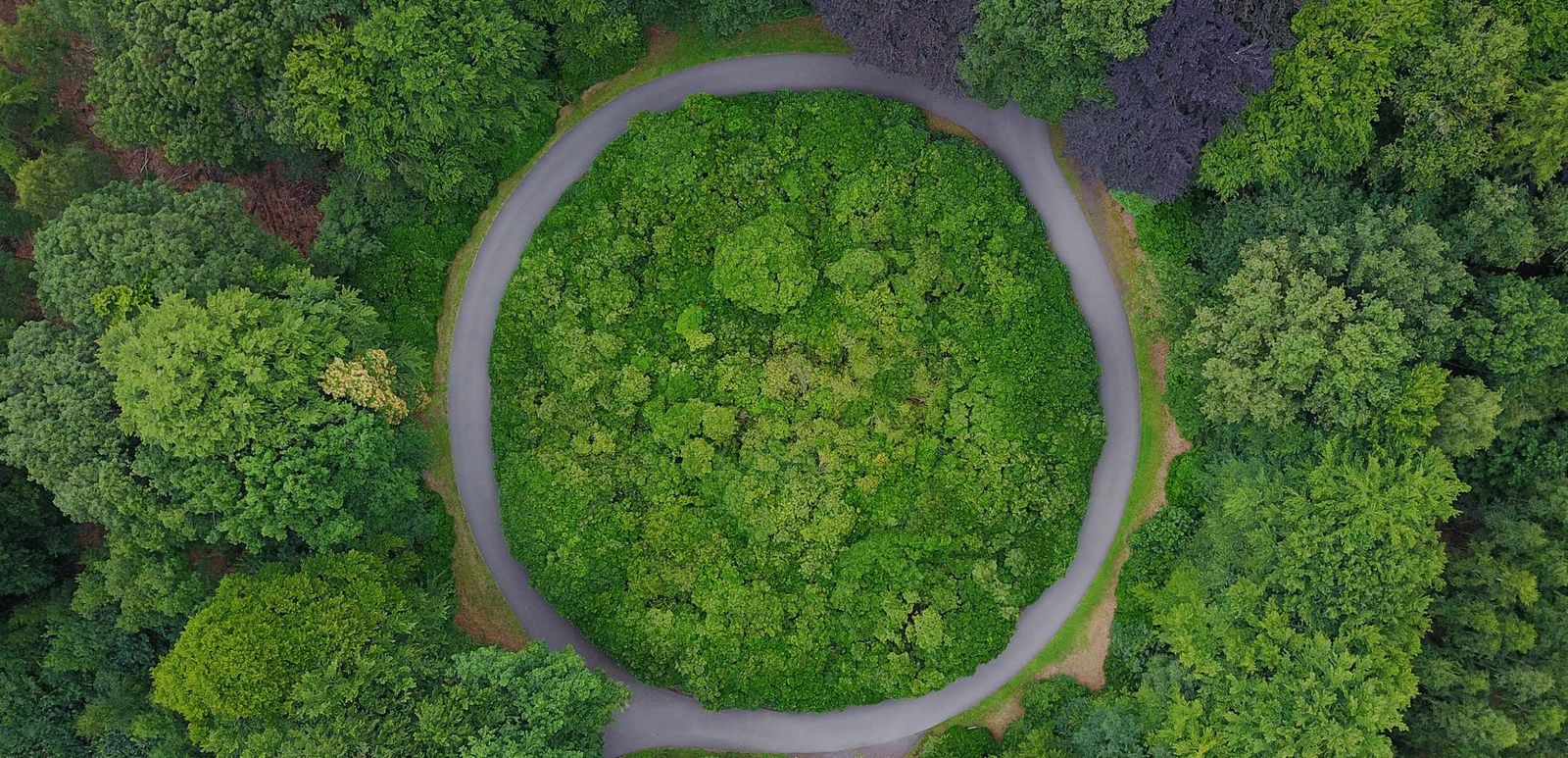 Closing the Loop: Circular Economy Practices in Supply Chain Management