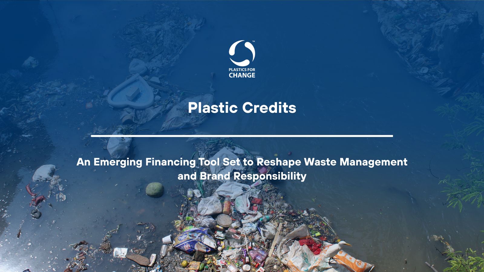 How Plastic Credits Could Reshape Corporate Responsibility in the Circular Economy of Waste and Packaging